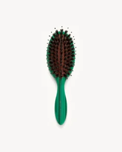 Travel Hair Brush